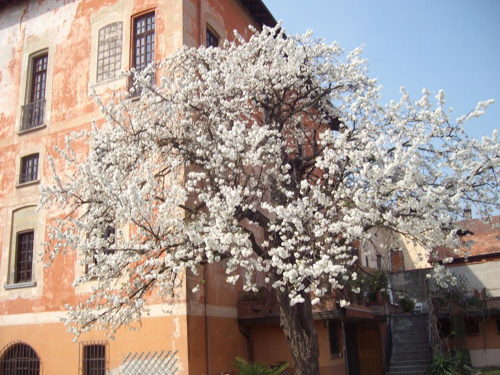 Apartamento Il Castello Delle Meraviglie *